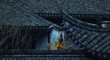 探寻古建筑之美：拍摄古建筑的6个技巧