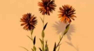 15个视频画质增强神器，抖音超高清视频制作必备！