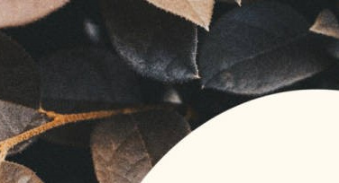 无缝拼图，让照片更具故事感