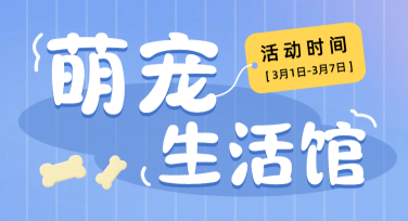 宠物店活动海报设计，创意与精致兼具的选择