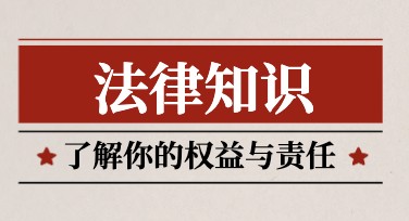 法律知识入门科普：全面揭秘设计风格模板