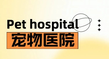 宠物医院宣传设计模板指南：助您快速解决宣传难题