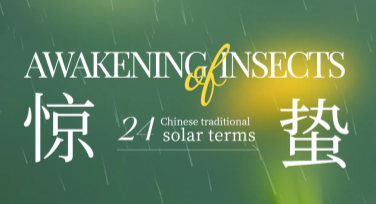 制作惊蛰宣传折页模板，就选个性十足的设计方案