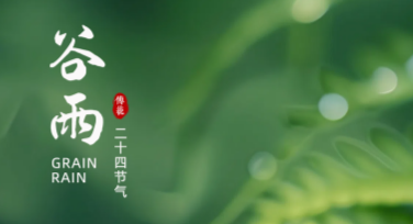 谷雨节气海报创意设计指南，让你的作品更加吸睛！