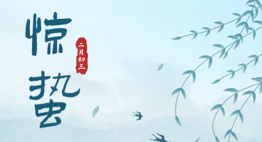 轻松制作惊蛰电商促销活动海报模板，帮您快速吸引客户点击