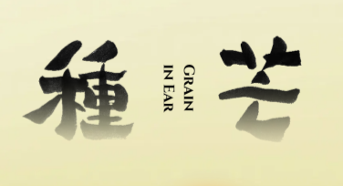 轻松找到芒种手机壁纸模板，这里汇聚丰富模板选择！