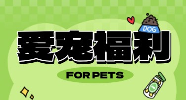 宠物食品活动海报设计，创意模板尽在这里！