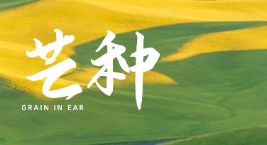 芒种节气宣传图：找到最佳设计灵感的网站推荐