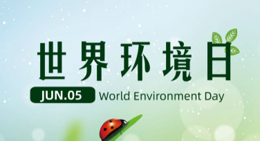 世界环境日视觉方案：设计精美作品的理想选择