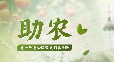 助农产品促销海报模板的特点与风格推荐