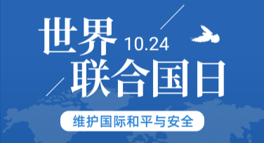 联合国日宣传海报免费模板设计，让创意引爆你的宣传