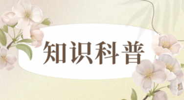 创意知识科普图文素材：开启高效设计新体验