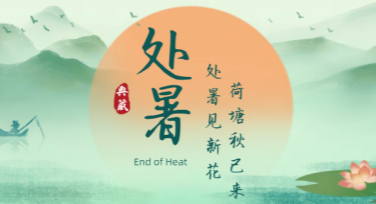 处暑创意海报设计灵感分享，让节气主题更有趣