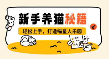 新手养猫注意事项，选择合适的设计风格更重要