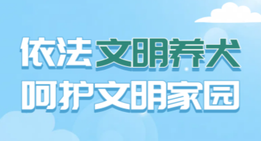 文明养犬宣传海报设计模板，多种风格供您选择
