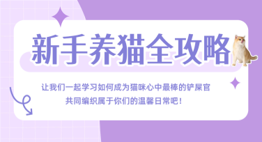 新手养猫海报设计，轻松打造吸睛风格海报