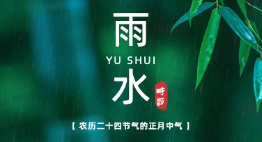 雨水海报设计：用创意点缀春日氛围