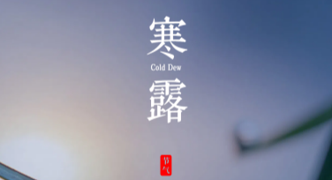 寒露创意设计：找到你的灵感，这里有答案