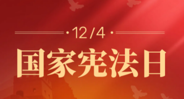国家宪法日法律条文宣传图，让你的设计更专业吸睛