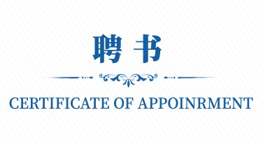 聘书排版设计，提升你的文档魅力轻松实现