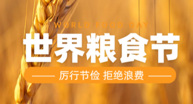世界粮食日宣传海报，快速打造创意设计模板就选它！