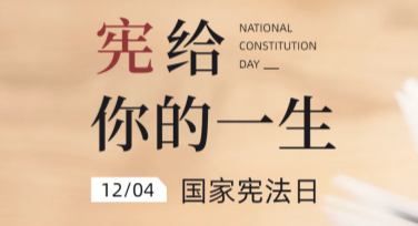 国家宪法日活动海报设计灵感分享，让宣传更有参与感