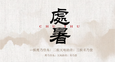 简约设计风格处暑节气科普图创作指南，给您优质作图灵感