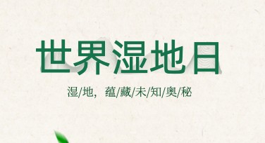 世界湿地日环保倡导海报怎么设计？美图设计室多种模板帮你搞定！