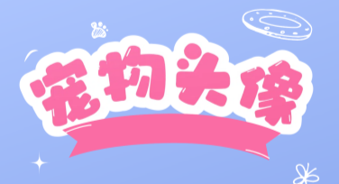 卡通宠物头像插画下载，轻松玩转设计