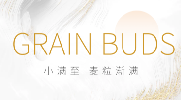小满节气宣传图：多种优质设计模板一键获取