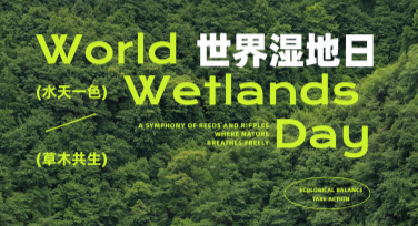世界湿地日湿地生态海报设计指南，找模板就上美图设计室