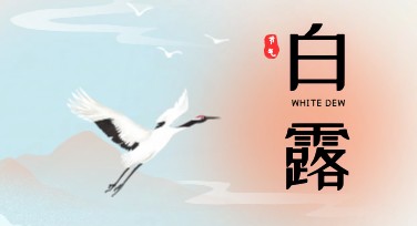 白露创意设计，这里能实现你的无限灵感