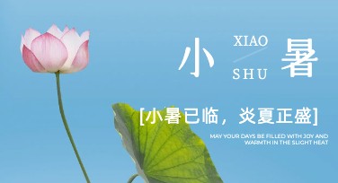 小暑节气海报设计，这些风格模板让你的作品更出彩