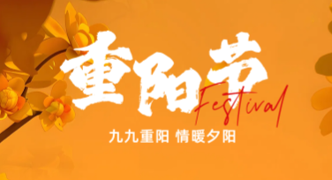 重阳节插画海报创意灵感分享，打造温情节日设计