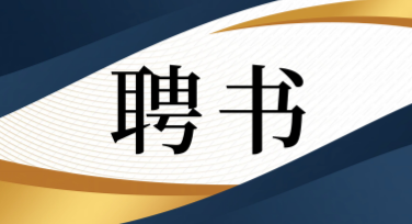 聘书设计全攻略：助你轻松搞定高质量模板