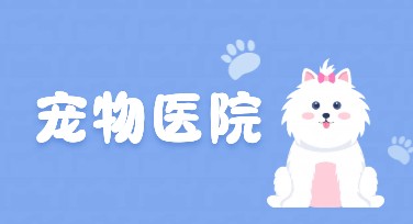 宠物医院海报，一站式设计服务，全网推荐