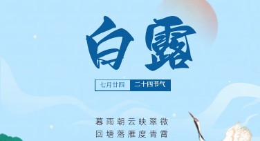白露海报设计的灵感与风格推荐