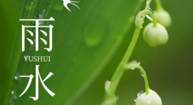 雨水节气海报模板推荐：设计创意、省时又方便！