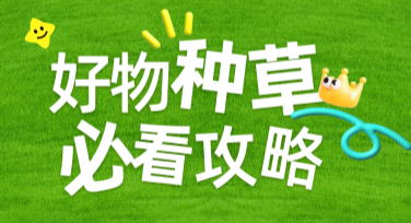 好物推荐海报设计用哪个风格最受欢迎？答案全解析