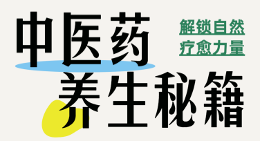 中医养生海报设计免费模板推荐，灵感轻松获取
