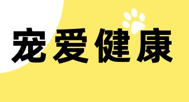 宠物医疗海报设计——快速搞定专业创意模板