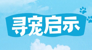 宠物寻回公告怎么设计更简单高效？