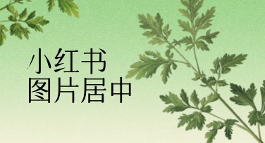 小红书图片居中首图设计攻略