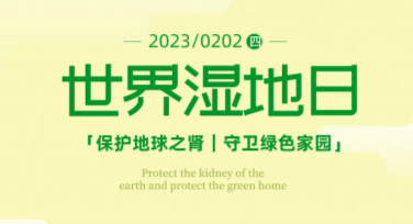 世界湿地日湿地摄影展宣传海报