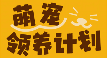 流浪动物领养推广图设计，帮你一键搞定公益宣传