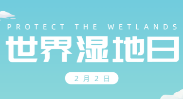 世界湿地日绿色行动宣传单制作指南