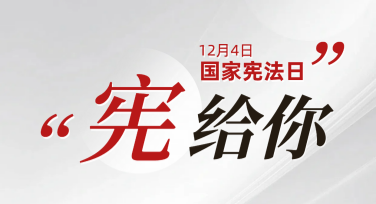 国家宪法日法律法规宣传单轻松设计指南