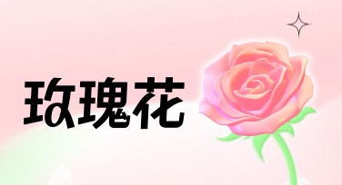 玫瑰花元素设计模板，轻松提升你的设计吸引力
