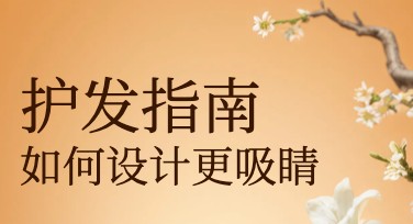 护发指南：为设计作品寻找最佳工具的理想选择