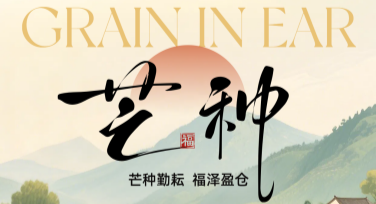 芒种创意设计，解锁你的无限设计灵感
